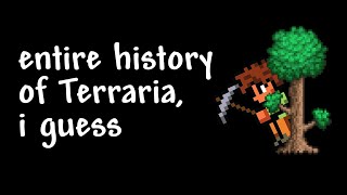 The entire history of Terraria I guess 2011  2023 [upl. by Enahpad]