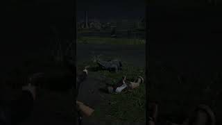 Swamp puppy got a two for one meal reddeadredemtionclips reddeadonline rdr2 rdrclips [upl. by Can]