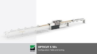 Pushfeed saw OptiCut S 50  Configuration Infeed table with sorting  WEINIG [upl. by Leuqim95]