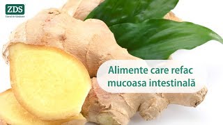 Alimente care refac mucoasa intestinală [upl. by Ekusoyr]