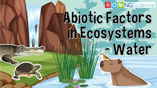 Abiotic Factors in Ecosystems – Water [upl. by Aoket]