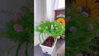 Container craft gardening ideas gardening craft shorts [upl. by Sophronia]