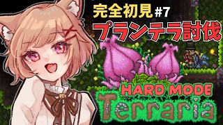 【 Terraria ハードモード  初見 】整地＆プランテラ討伐 Plantera 【 テラリア  いちりあ＊ 】 [upl. by Audie]