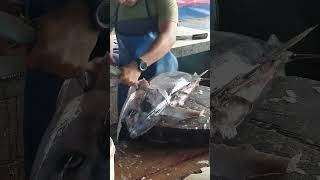 GOOD SHARP MACHETE 🔪🔥 Tuna Fish Cutting Process shorts tuna [upl. by Sorrows]