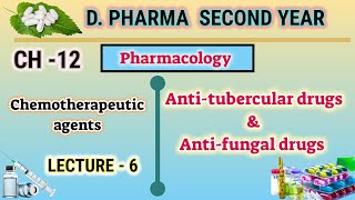 Anti tubercular drugs  Anti fungal drugs  DOTS  CH12  L6  Pharmacology  DPharm second year [upl. by Ayanej]