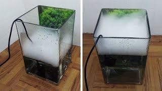 Ultrasonic Mist Maker Testing on Mini Fish Tank [upl. by Siro115]