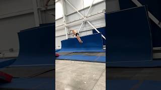 SLOW MOTION TRIPLE BACKFLIP FULLTWIST CIRQUE DU SOLEIL Gymnast Training Olympic Tumbling Trampoline [upl. by Haridan446]