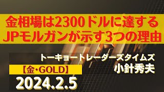 金相場は2300ドルに達する～JPモルガンが示す3つの理由【金】2425商品先物投資情報GoldTVnet [upl. by Kcirrek799]