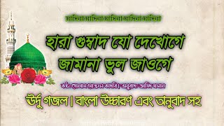 হারা গুম্বাদ যো দেখোগেurdhu hindigojol gojol2023 lyrics banglagojol ২০২৪ 2024viralvideo [upl. by Leroi964]