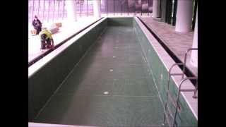 Melbourne Swimming Pool Overflow Waterproofing and Rectification works By Australian Waterproofing [upl. by Lechar432]