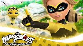 MIRACULOUS  🐝 QUEENS BATTLE  COMPILATION 🐞 Ladybug and Cat Noircartoon entertainment for kids [upl. by Ailisab293]