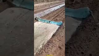 Water irrigation method in china shorts ytshorts [upl. by Amii]