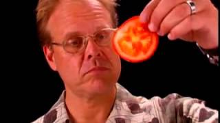 Shun Knife Anatomy  Alton Brown Shares why Shun Knives are His Favorite [upl. by Leggett]