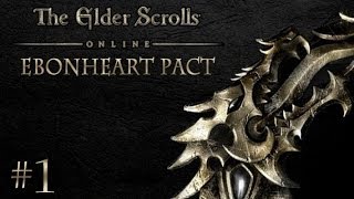 Elder Scrolls Online Ebonheart Pact 1 [upl. by Akfir]