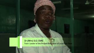 TILAPIA amp CATFISH BREEDING TECHNOLOGY IN NIGERIA [upl. by Epilef]