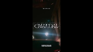 MORAD  CHANDAL VIDEO OFICIAL [upl. by Dias]