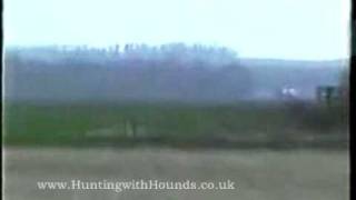 Kippers Bitch Vs The Captain  Pre Ban Hare Coursing [upl. by Rettig]