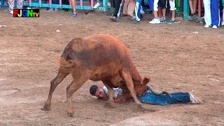 Vaquillas Enfundadas  Festa La Vila 2015  La Vilavella Castellon Bous Al Carrer Toros FJGNtv [upl. by Marashio]