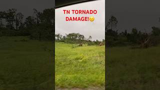 TN TORNADO DAMAGE NEAR US Part 1 tornado damage tree sad jesus destruction wow [upl. by Hterrag]