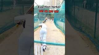 comment out or not out 🔥 Yorker ball kaise Daale🎯 speed 130  🫶 cricketfastbowling viralshorts [upl. by Harriman]