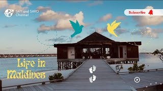 OBLU Select Sangeli  Resort Visit in Maldives maldives island 2022 viral indian vlog couple [upl. by Genna388]