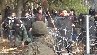 Heightened Tensions On PolandBelarus Border As Migrants Attempt To Force Down Border Fence [upl. by Mcclimans798]