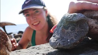 How To Find Fossils On The Jurassic Coast Fossil Friday [upl. by Aniwde]