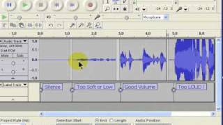 How to tell your volume level in Audacity [upl. by Froh]