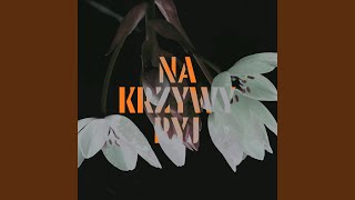 Na Krzywy Ryj Radio Edit [upl. by Roe]