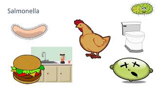 Bacterial Diseases [upl. by Inaja]