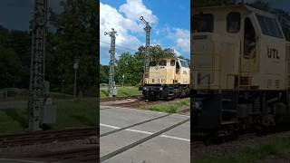 🇩🇪😎😍⚠️ Holztaxi in Altshausen trainspotting [upl. by Aihseyk]