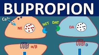 Bupropion Wellbutrin  How it works Uses Side effects and Precautions [upl. by Attenaej]