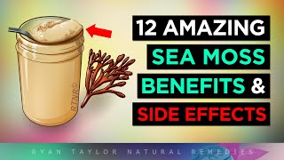 Sea Moss Gel 12 Amazing Health Benefits amp Side Effects [upl. by Minni]