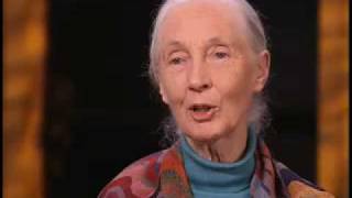 Jane Goodall on Role Zoos Play in Saving Wild Animals [upl. by Boeke]