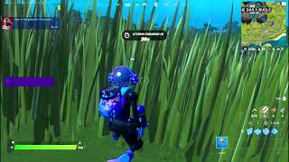 Hide in Tall Grass for 10 Second  Fortnite Week 4 Season Quest [upl. by Asseniv182]