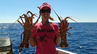 Western Rock Lobster in Setose with Tar Spot pulled from 30m Perth WA [upl. by Artsa]