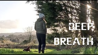 Good Simple Life In The Irish Countryside Homestead  Ireland Slow Living [upl. by Fritts]