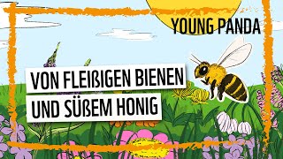 Von fleißigen Bienen und süßem Honig [upl. by Mancino]