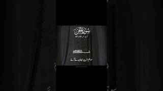 Surah Jin 🤍 beautiful Quran recitation shorts quran quranrecition القرآن [upl. by Nuahsyd]