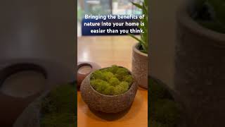 Bringing the benefits of nature into your home is easier than you think [upl. by Alleira]