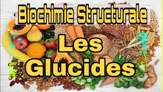 Biochimie Structurale Chapitre 1  Structure et propriétés des glucides [upl. by Akinot475]