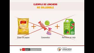 Guía de Loncheras Saludables [upl. by Ciryl]