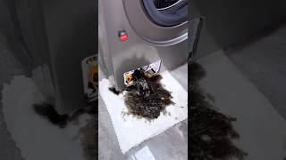 Extremely Dirty Carpet Cleaning  Carpet Cleaning Satisfying  ASMR Cleaning [upl. by Ajar]