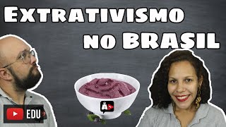 Seu Açaí e o Extrativismo no Brasil  Agora Disserte [upl. by Bobbie]