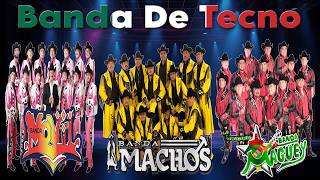 Tecno Banda Mix Quebraditas Exitos  Banda Machos Maguey Zeta Movil Ms Pequeños Musical y Mas [upl. by Pinchas331]