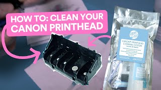 How To Clean Your Canon Printhead Using the paper2eat Printhead Cleaning Kit [upl. by Chaiken975]