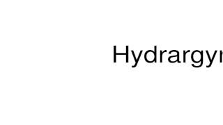 How to pronounce Hydrargyrum [upl. by Ojillib157]