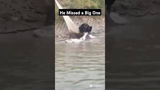 He missed a big one fishinglife fishtank fisherman fishvideo river aquarium catfish fish [upl. by Schaffer]