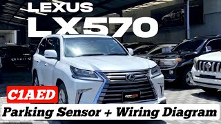 C1AED Rear Sensor Communication Circuit Lexus Lx570  Wiring Diagram  Solution 💯 🔥 [upl. by Gare]