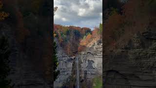 Afternoon at Taughannock falls state park watching flying leaves and peregrine falcons [upl. by Aihsilat]